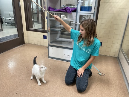 Animal Shelter4
